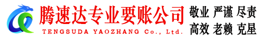 雨山讨账公司